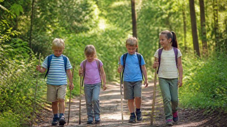Pourquoi les activités en plein air reviennent en force chez les enfants à l’heure des loisirs connectés